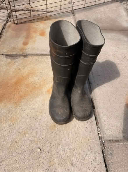 Photo of free Steel capped wellies for chainsaw (Lobley Hill, Gateshead, NE11) #1