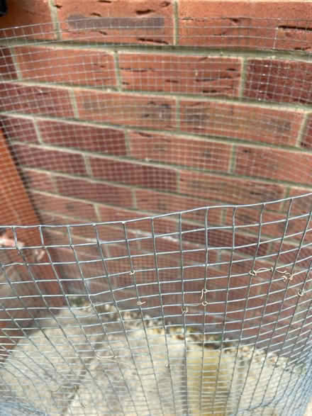 Photo of free Wire mesh panel for trellis etc (Portsmouth - PO4 Milton) #1