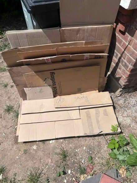 Photo of free 6 large boxes (N8 Crouch End) #1