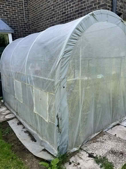 Photo of free Large greenhouse (BH21 3TX) #2