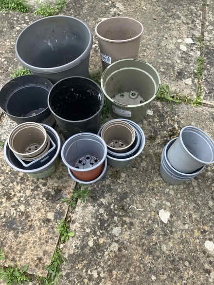 Photo of free Plant Pots W4 5JP (W4 Chiswick) #1