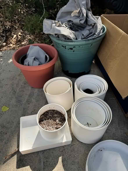 Photo of free plant supplies misc (Lafayette) #2
