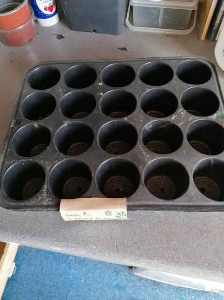 Photo of free Seed/plant tray (Langney BN23) #2