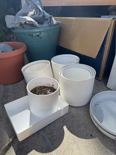 Photo of free plant supplies misc (Lafayette) #1