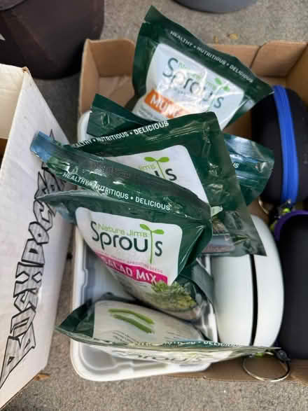 Photo of free plant supplies misc (Lafayette) #4