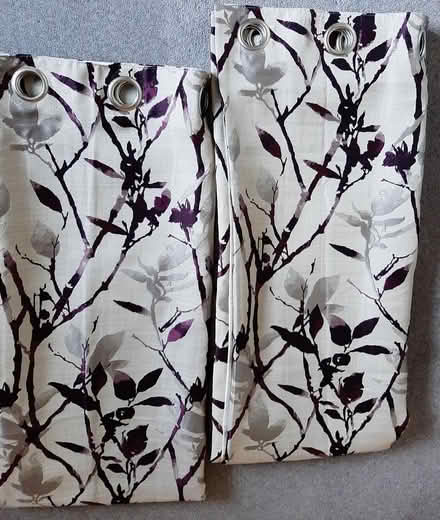 Photo of free Dunelm lined curtains eyelet top (Ashbourne DE6) #1