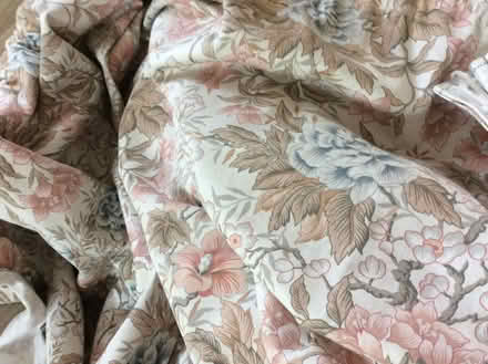 Photo of free Vintage floral curtains (Frimley) #3