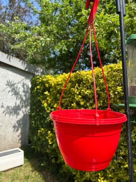 Photo of free Hanging pot (originally for toms!) (Eastcote HA5) #1