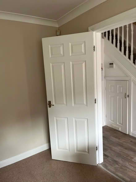 Photo of free House internal doors x 12 (East Ardsley WF3) #1