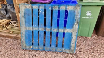 Photo of free Pallet (Bridge of Allan FK9) #1