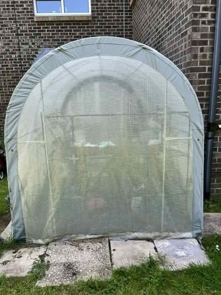 Photo of free Large greenhouse (BH21 3TX) #3