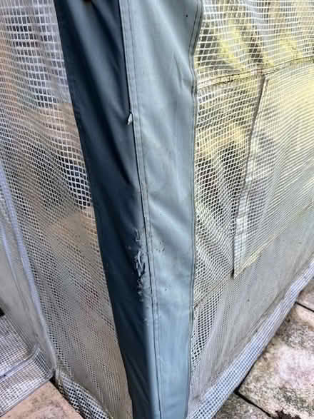 Photo of free Large greenhouse (BH21 3TX) #4