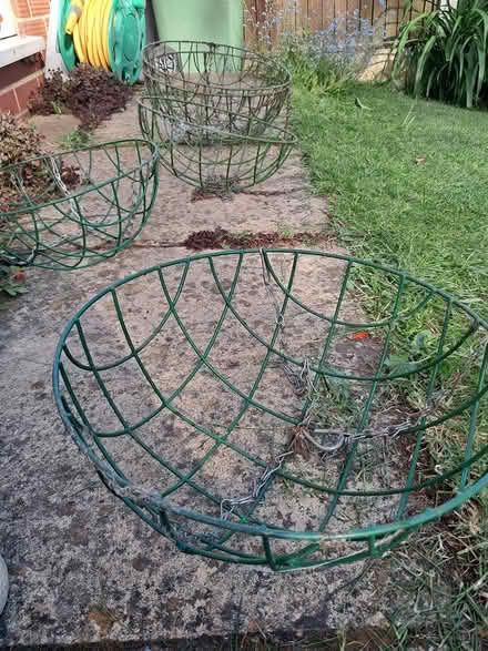 Photo of free Hanging baskets (Belper DE56) #3