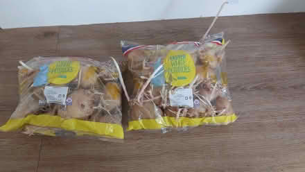 Photo of free Seed Potatoes (Carnforth LA5) #1