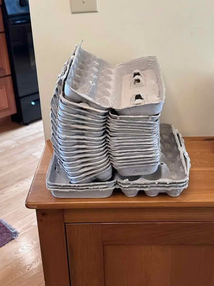 Photo of free 20 cardboard egg cartons (Hollis Street, Groton) #1