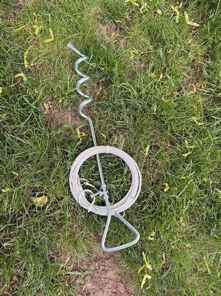 Photo of free Staked Dog Run (Waltham) #1