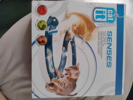 Photo of free Cat it senses play circuit (Crook) #1