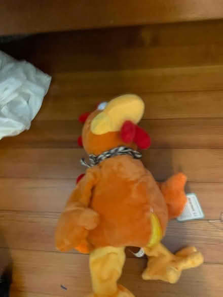 Photo of free plush chicken that squawks (Brookline) #1