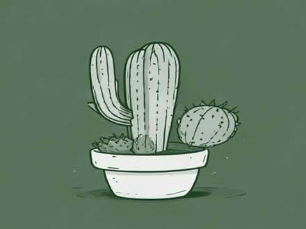Photo of free 3 (4) cacti/succulents (Chertsey KT16) #1