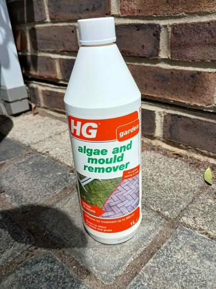Photo of free HG algae and mold remover (Chichester, Summersdale) #1