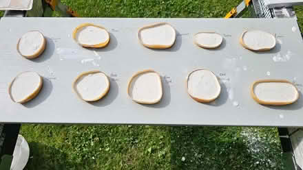 Photo of free Plaster of Paris set (Wigmore, Gillingham) #4