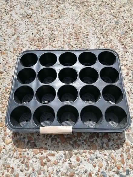 Photo of free Seed/plant tray (Langney BN23) #1
