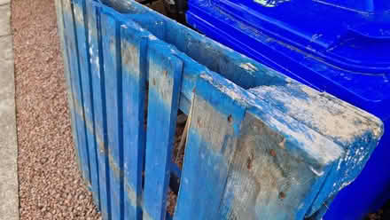 Photo of free Pallet (Bridge of Allan FK9) #2