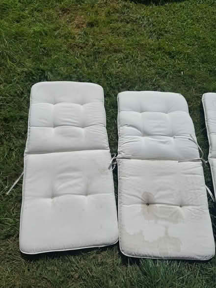 Photo of free X4 cream sun cushions (Hadlow TN11) #1
