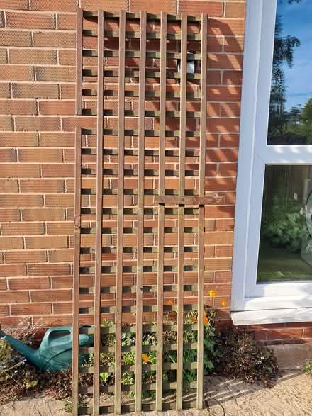 Photo of free Garden trellis (Belper DE56) #1