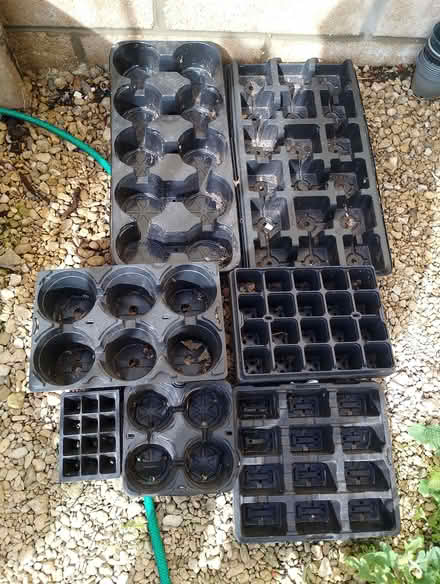 Photo of free Plastic pots and seed trays in variable sizes. (Humphrey's End GL5) #2