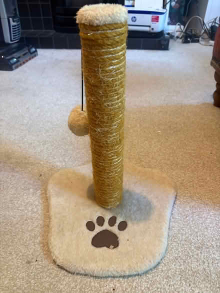 Photo of free Cat Scratching Post (Southfields SW18) #1
