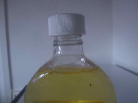 Photo of free Sugar Soap (Parkstone BH14) #1