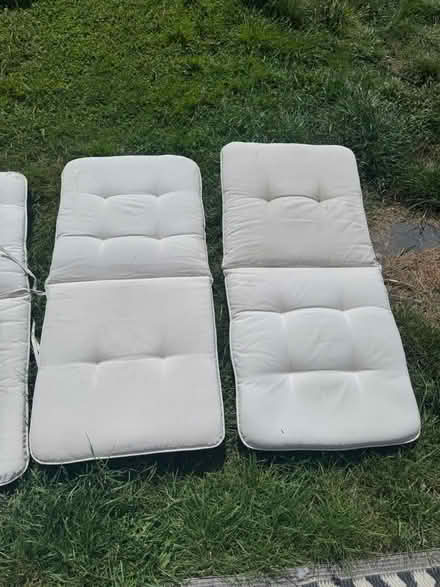 Photo of free X4 cream sun cushions (Hadlow TN11) #2