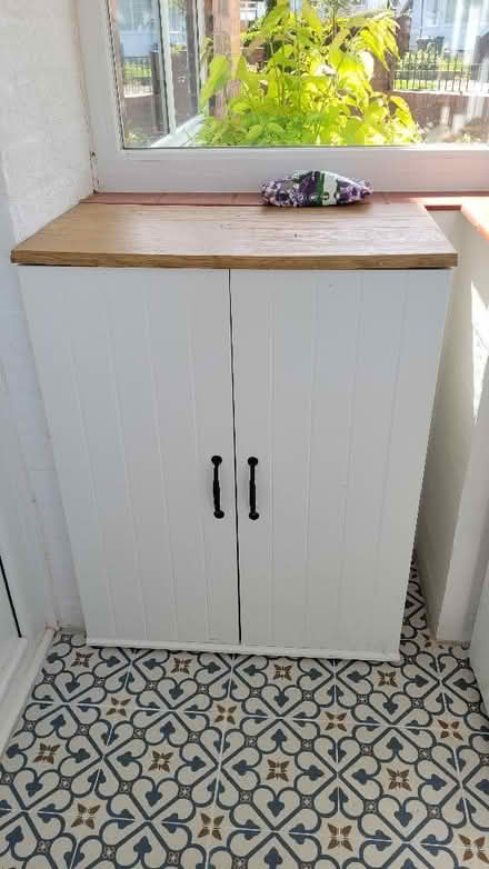 Photo of free 2 door cupboard (Turves Green B31) #1