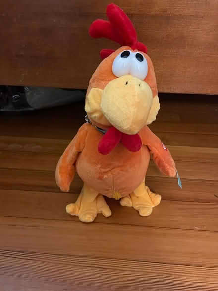 Photo of free plush chicken that squawks (Brookline) #2
