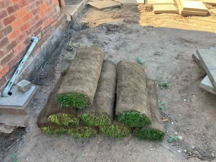 Photo of free Turf - 8 rolls. (Loughborough LE11) #2