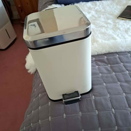 Photo of free Small Cream/ Silver Pedal Bin (Charminster BH8) #1