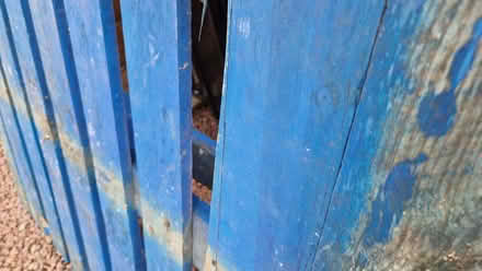 Photo of free Pallet (Bridge of Allan FK9) #3