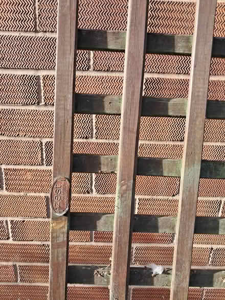 Photo of free Garden trellis (Belper DE56) #3