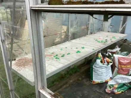Photo of free Greenhouse (Long Marton CA16) #4