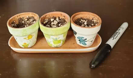 Photo of free Mini painted clay pots (Near Experimental Farm) #1