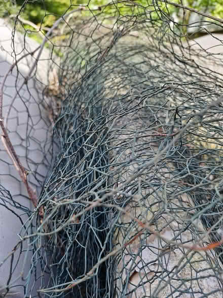 Photo of free Roll of chicken wire (Denton) #1