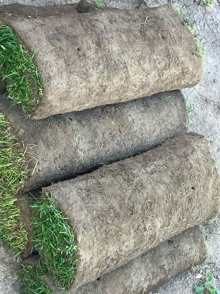 Photo of free Turf - 8 rolls. (Loughborough LE11) #1