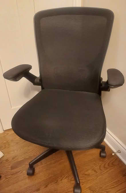 Photo of free Office Chair (Central Ottawa - River Ward) #1