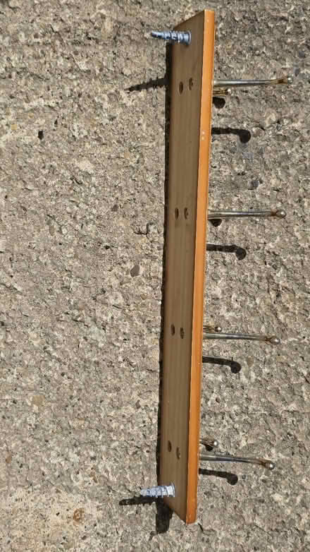 Photo of free Coat hook (Stroud) #2