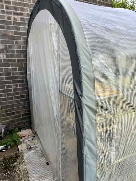 Photo of free Large greenhouse (BH21 3TX) #1