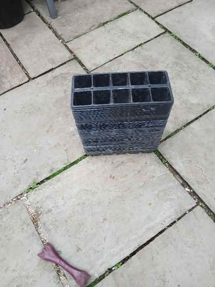 Photo of free Seedling trays (Morecambe LA4) #1