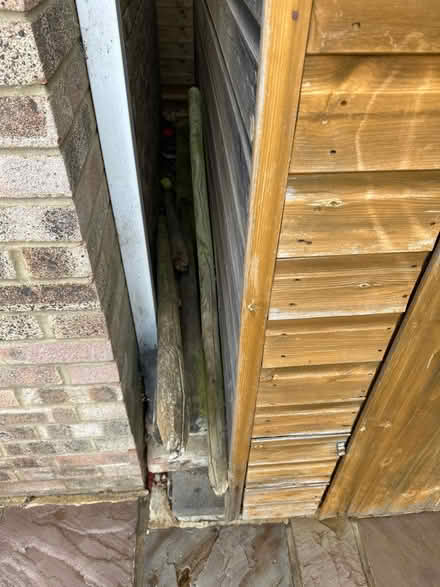Photo of free 4x bamboo posts (Hazlemere HP15) #1