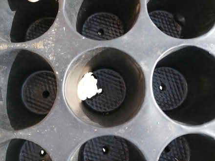 Photo of free Seed/plant tray (Langney BN23) #3