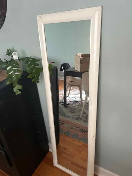 Photo of free Full length mirror (La grange il) #1